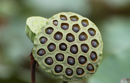 g723a60286b0442999e9d9e57128b7c2e0d5fdaf7c859d867f09fd92e525c12fef81ae917b70fe4a2e1a52e7b6afafd9c4692617da6877a80911ac3394697dda9_1280-7511823