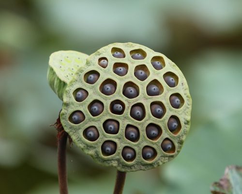 g723a60286b0442999e9d9e57128b7c2e0d5fdaf7c859d867f09fd92e525c12fef81ae917b70fe4a2e1a52e7b6afafd9c4692617da6877a80911ac3394697dda9_1280-7511823