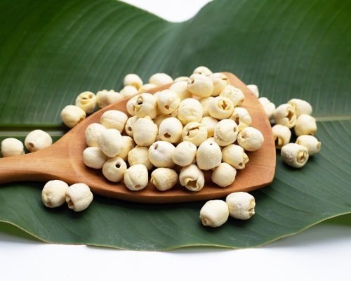 gd588c986b61b1484745f5506d8edc8188f8976492669e07f10d472e299e5bc8b5fa1ab6c5da107776acf855d5ad16582f1badf947855f57d3d52704e6f6678de_1280-10089951